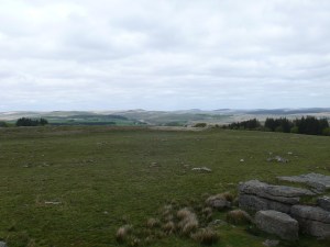 Looking north from South Hessary Tor