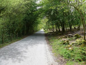 Along the road beside the reservoir
