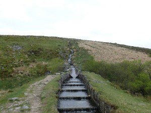 Raddick Hill as the Devonport Leat tumbles down
