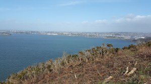Plymouth from the South West coastal path