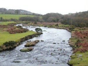 The River Plym from the start at Cadover