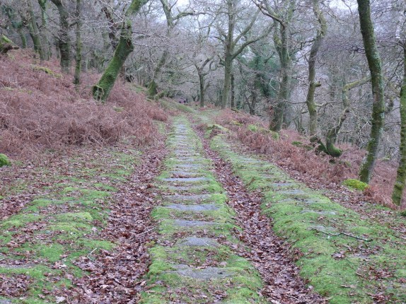The old tram tracks that would have been used to move quarried granite down to Shaugh Bridge
