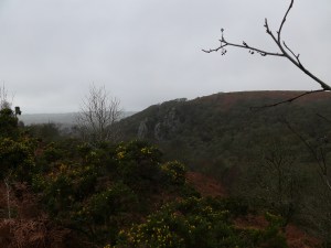 And again from further along the path