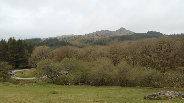 Leather Tor as we start the ascent to Down Tor