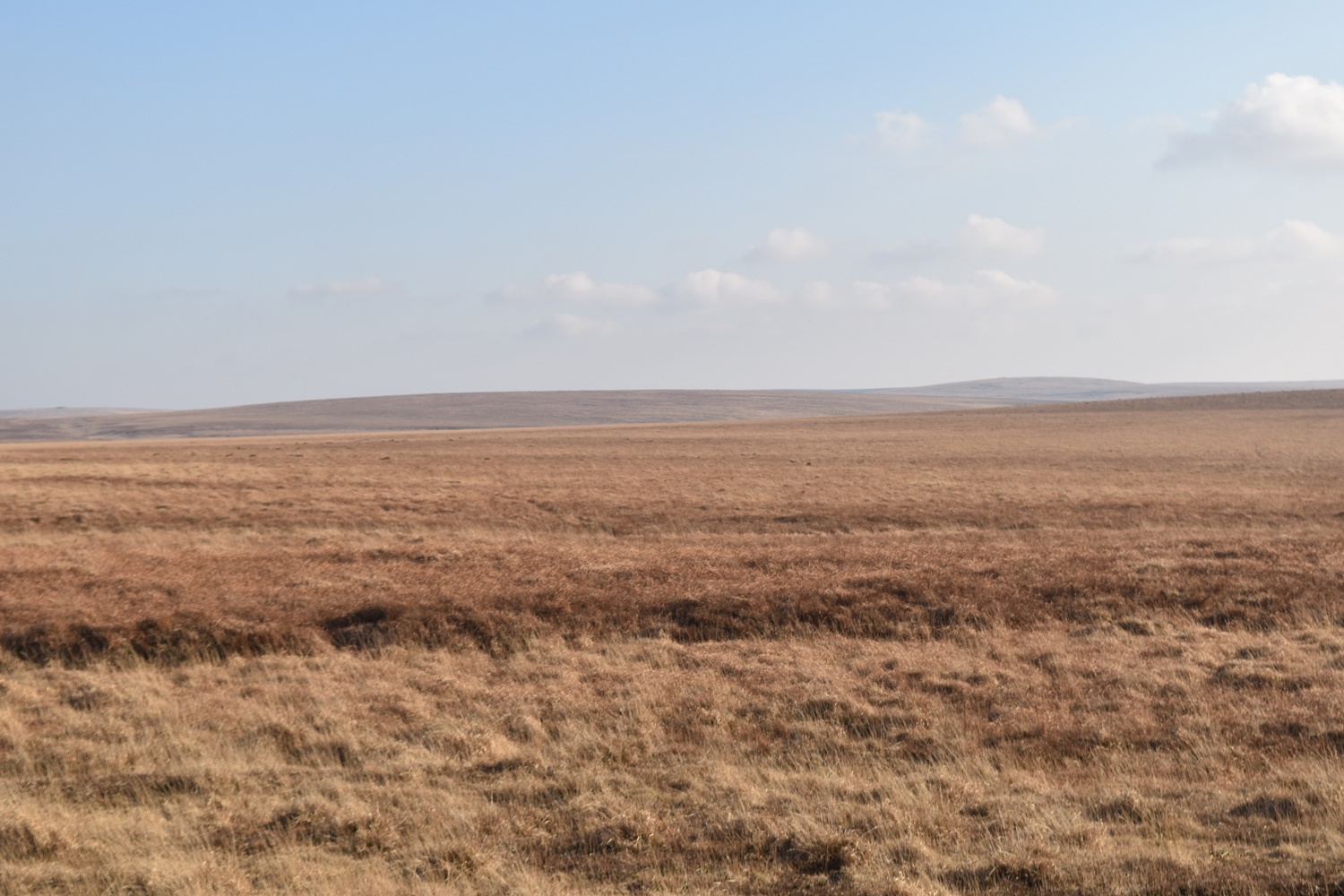 crane-hill-1