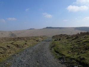 Devils Tor 1