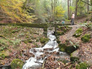 Skill Beck at the start of the walk