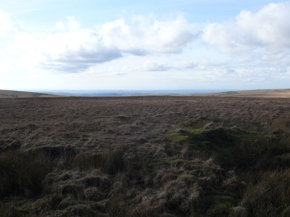 Looking down the Plym Valley in the direction of Plymouth