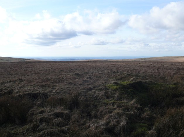 Looking down the Plym Valley in the direction of Plymouth