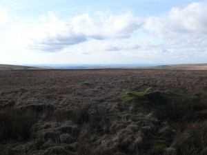 Looking down the Plym Valley in the direction of Plymouth