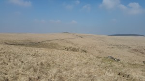 Sittaford Tor taken from Winney's Down