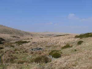 The pile of stones nearest is the Beehive with Sittaford Tor beyond