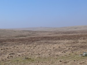 Looking across to Rough Tor