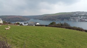Fowey estuary from the start of the walk