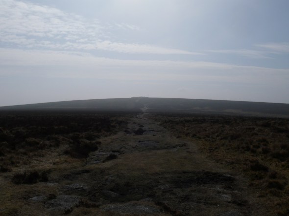 Looking towards Broad Burrow from Hameldown Tor