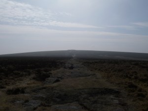 Looking towards Broad Burrow from Hameldown Tor