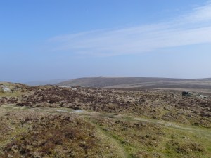 The fairly dull approach to Shapley Tor