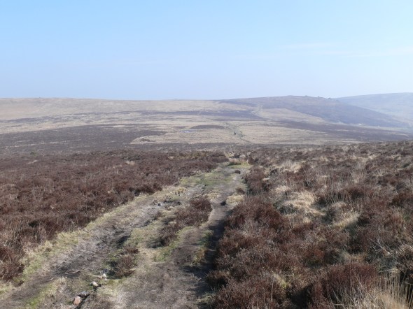 Heading back over the shoulder of Birch Tor with Hookney Tor left