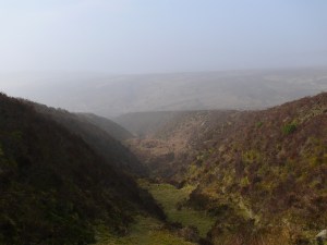 One of the tinners trenches on Birch Tor