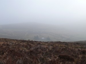 Headland Warren Farm