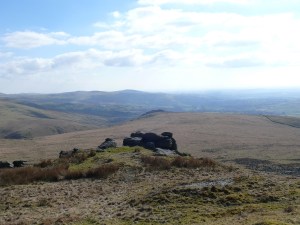 Hare Tor 13