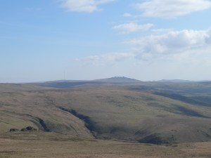 Hare Tor 14