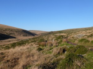 Looking back to Wistman's Wood and the West Dart valley
