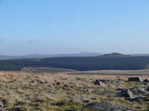 Bit of zoom to Bellever Tor, where we were last month, with Haytor in the distance