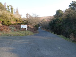 Start of the walk, heading up the path straight ahead the return will be from the left