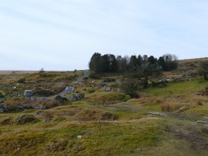 Looking back to Whiteworks