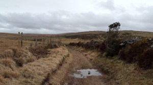 Heading down the track from Ball Gate