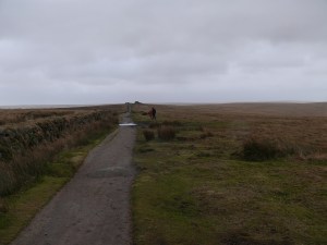 Looking towards South Hessary Tor in the distance, just follow the path!