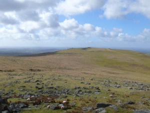 Cox Tor