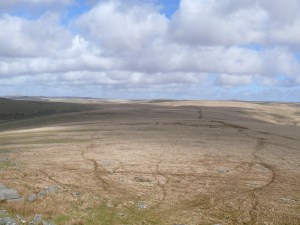 Wilderness at the back of Roos Tor, heading that way next time