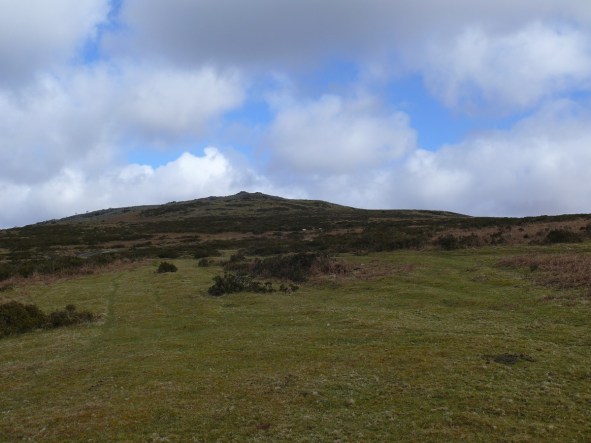 Cox Tor
