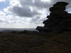 One of the stacks on Great Staple Tor