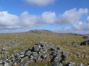 Approaching Cox Tor summit