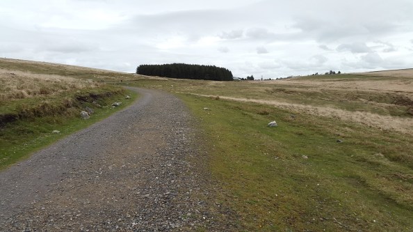 Almost back to Princetown