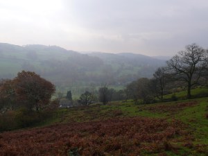 Looking a bit grey as we look back towards the house