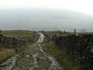 Damp start up Nanny Lane