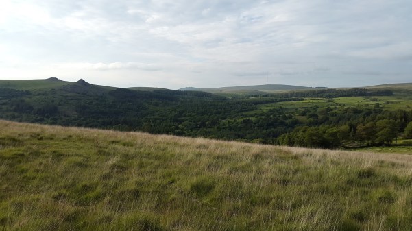 Climbing up Sheeps Tor