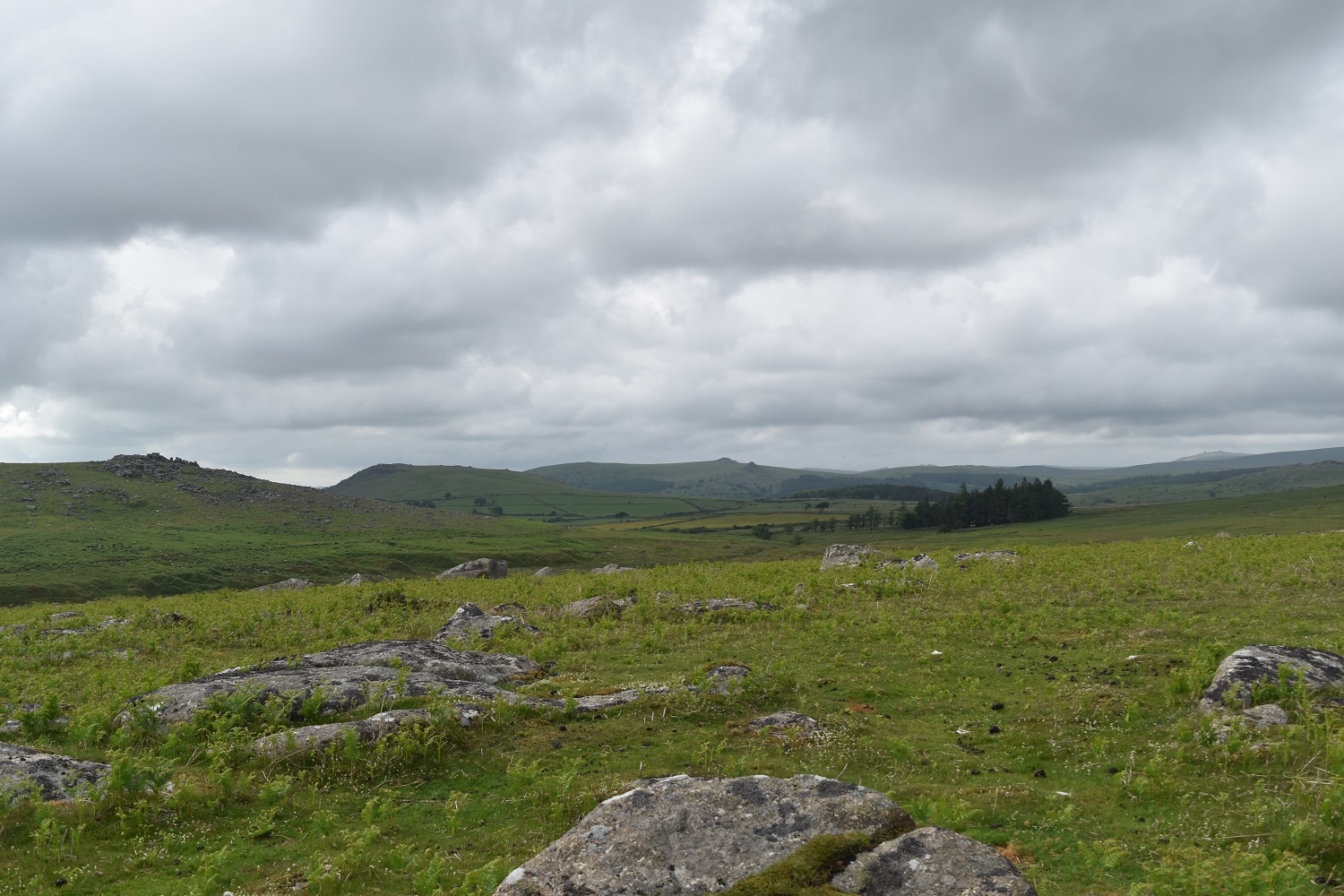 Eastern Tor 1