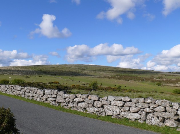 Rippon Tor from Cold East Cross