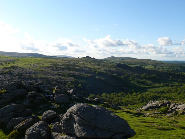 Fantastic bluebell display on the lower slopes of Hound Tor opposite