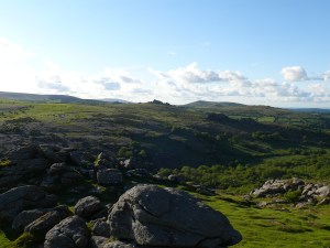 Fantastic bluebell display on the lower slopes of Hound Tor opposite