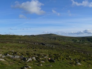 And looking back to Rippon Tor