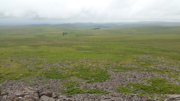 Looking across to Ditsworthy Warren and Gutter Tor from Hen Tor