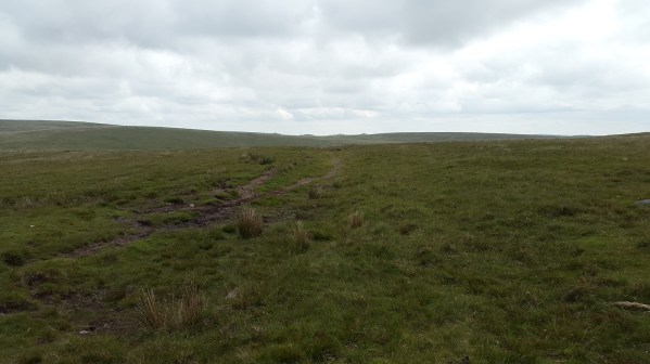 The Lych Way, the bumps in the distance I think are Beardown Tors.
