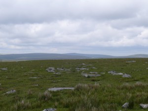 Lynch Tor 19
