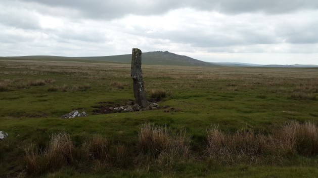 Lynch Tor 22